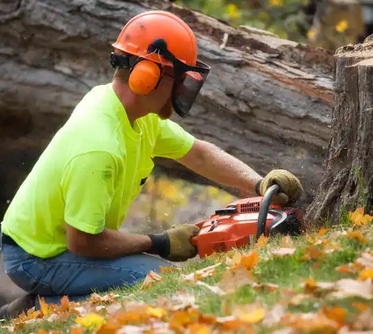 tree services La Prairie